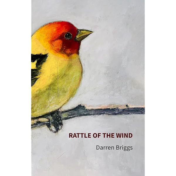 Amazon.com: Redbird